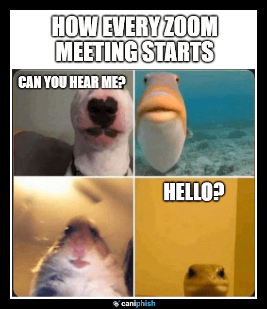 How to win your first meme competition (without wasting money)